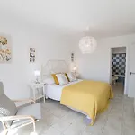 Coloradas Villa Alba