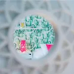 Casa Cactus