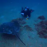 Azul De Eden