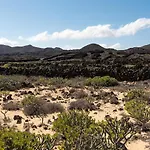 Delmar Natur - Gallo