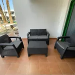 Paradise Club Oasis