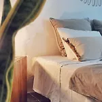 B&B La Mimosa