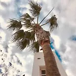 Le Family Palms