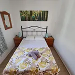 Bella Vista - Cactus