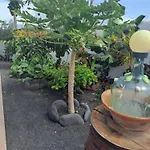 Las vistas