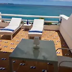 Caballito de Mar - Seahorse