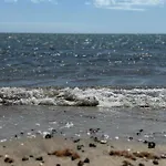 Mar Y Montana