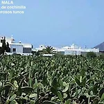 Casa \