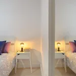 Vela
