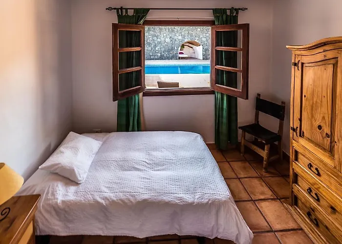 Casa Gecko