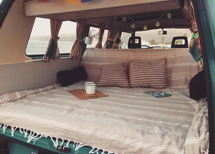 Turtles Van