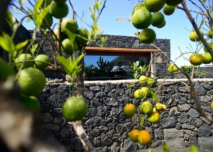 Eco Suite La Vegueta