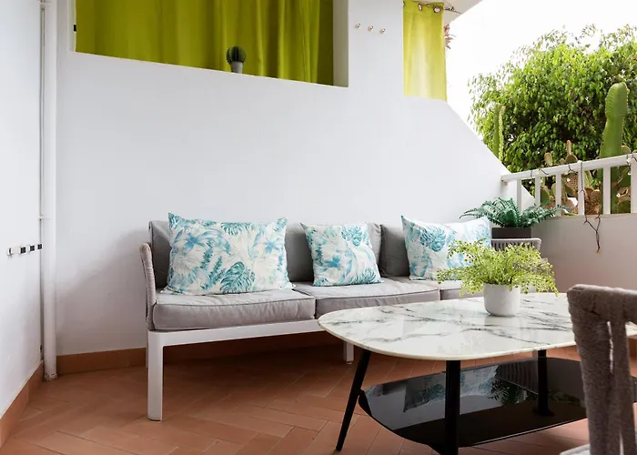 The Monkey House Apartment - A Jungle Of Comfort