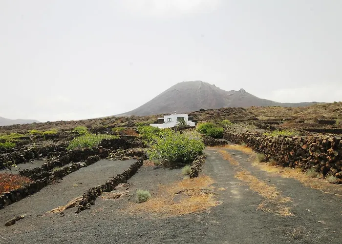 Manoa Eco House