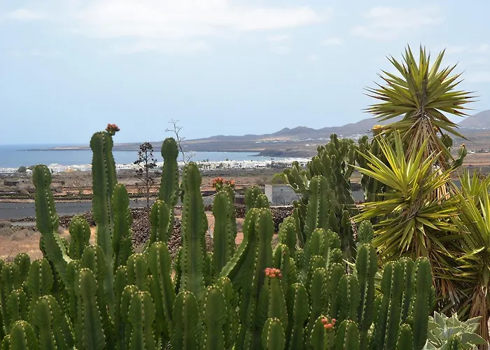 Casita Verde