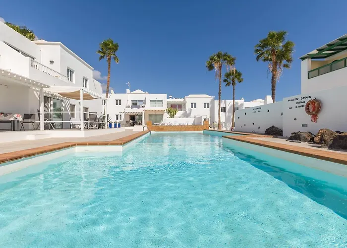Conylanza Tabayba Blue