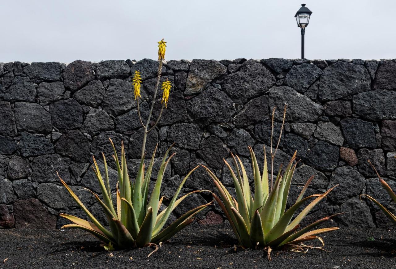 Lanzarote Natura Сasa de vacaciones Soo