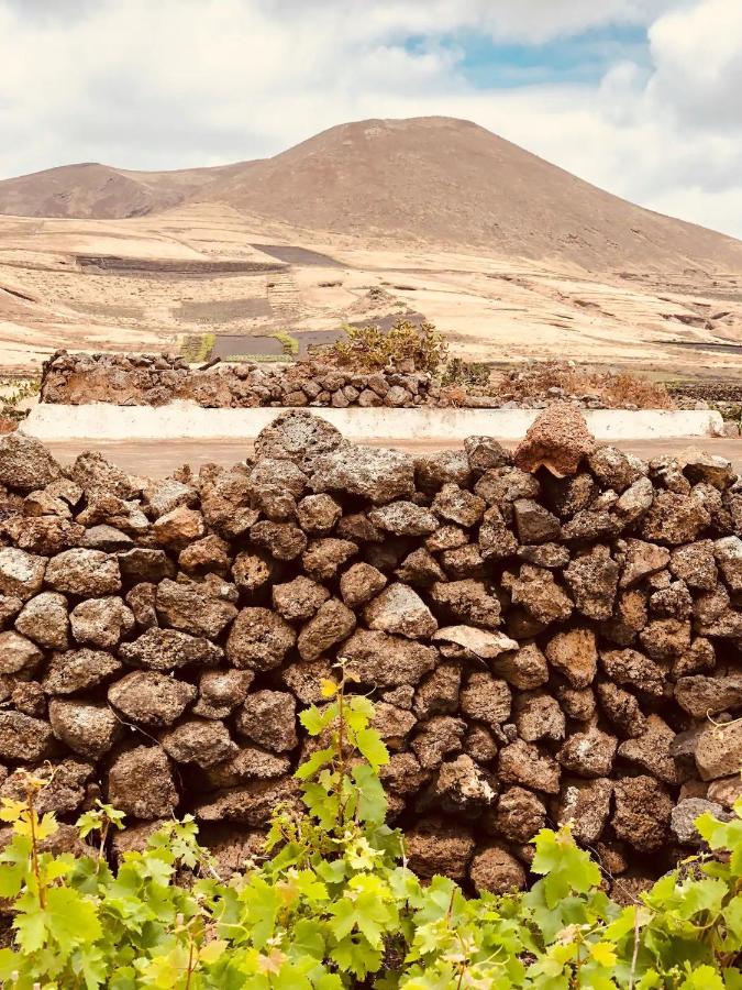 Cuarto Botánico