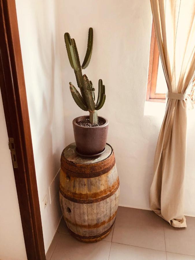Bodega Botanica Holiday home