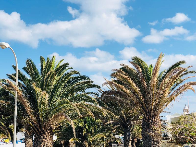 Boya 1. Harbor Of *