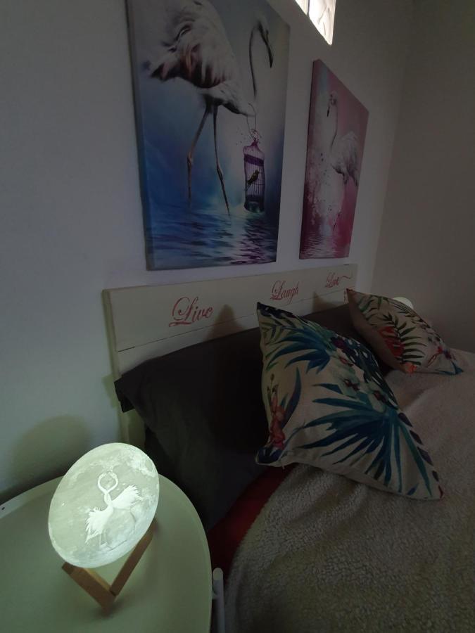 Flamingo With Terrace And Private Bath By Flamingo House * Arrecife (Lanzarote)