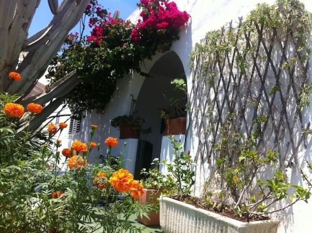 Villa Tranquila Órzola