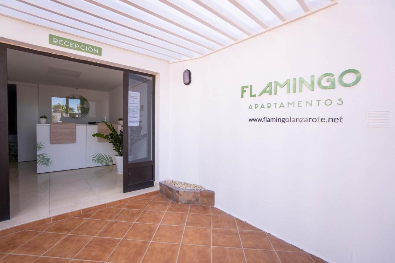 Flamingo
