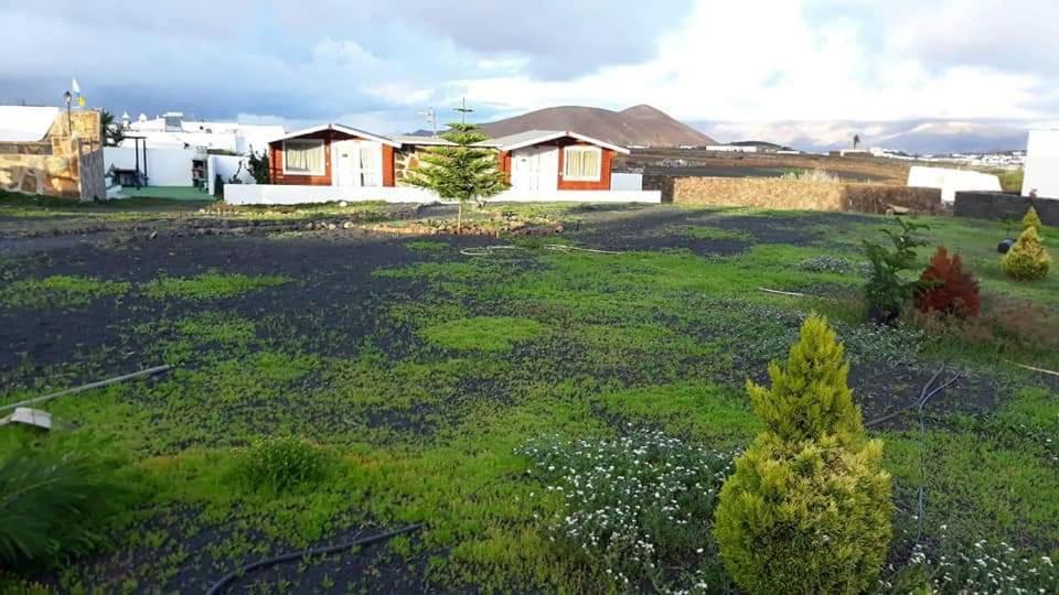 Volcan Capellania Holiday home