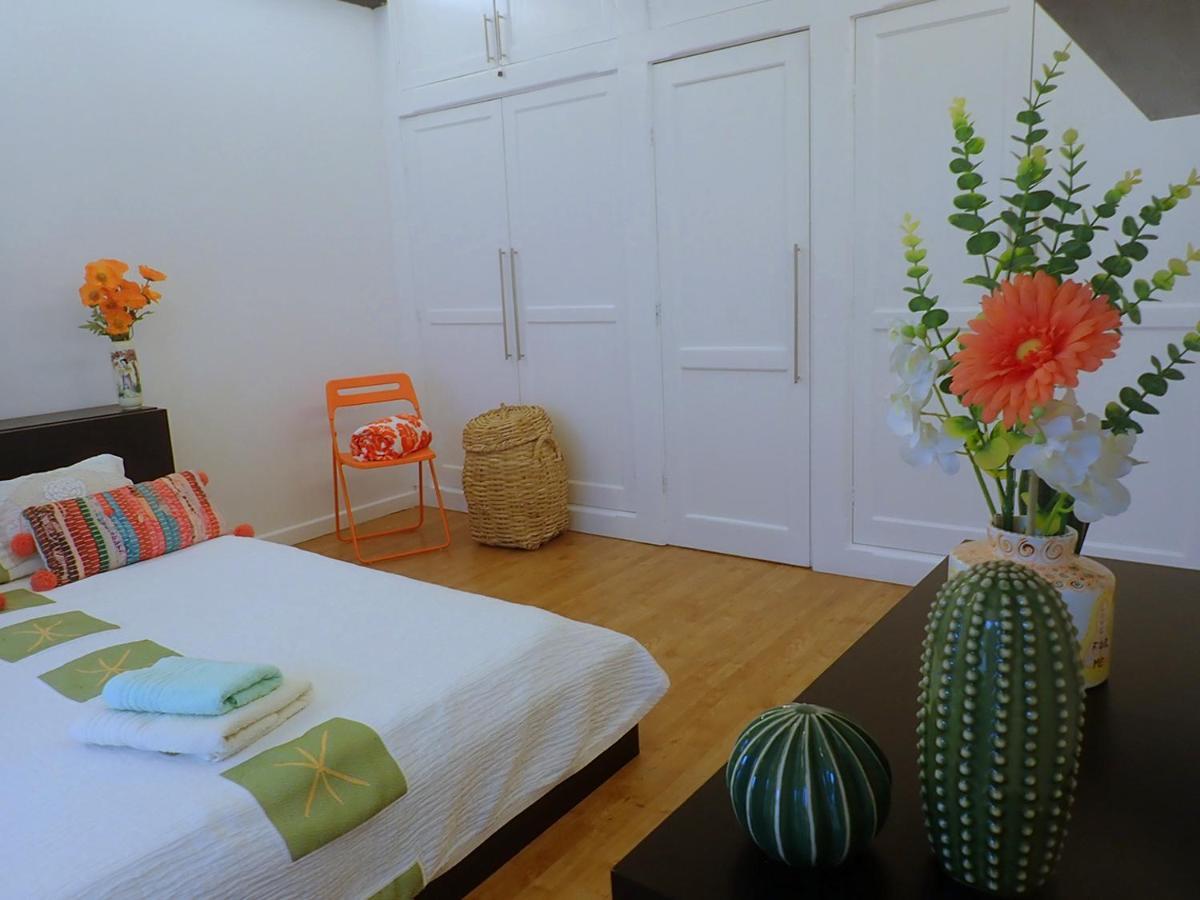 Apartment New Colonyclub