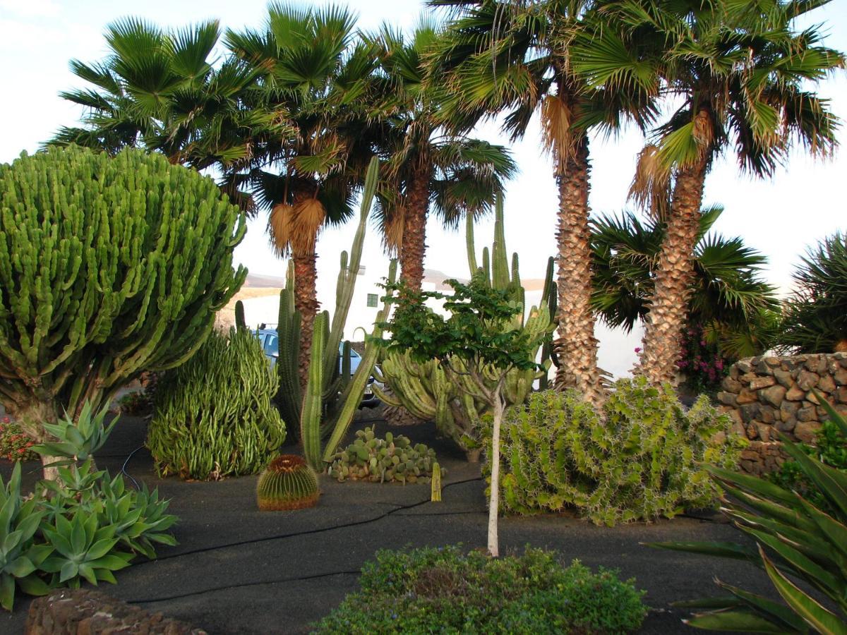 Apartamento Casa Ti - Botanica *