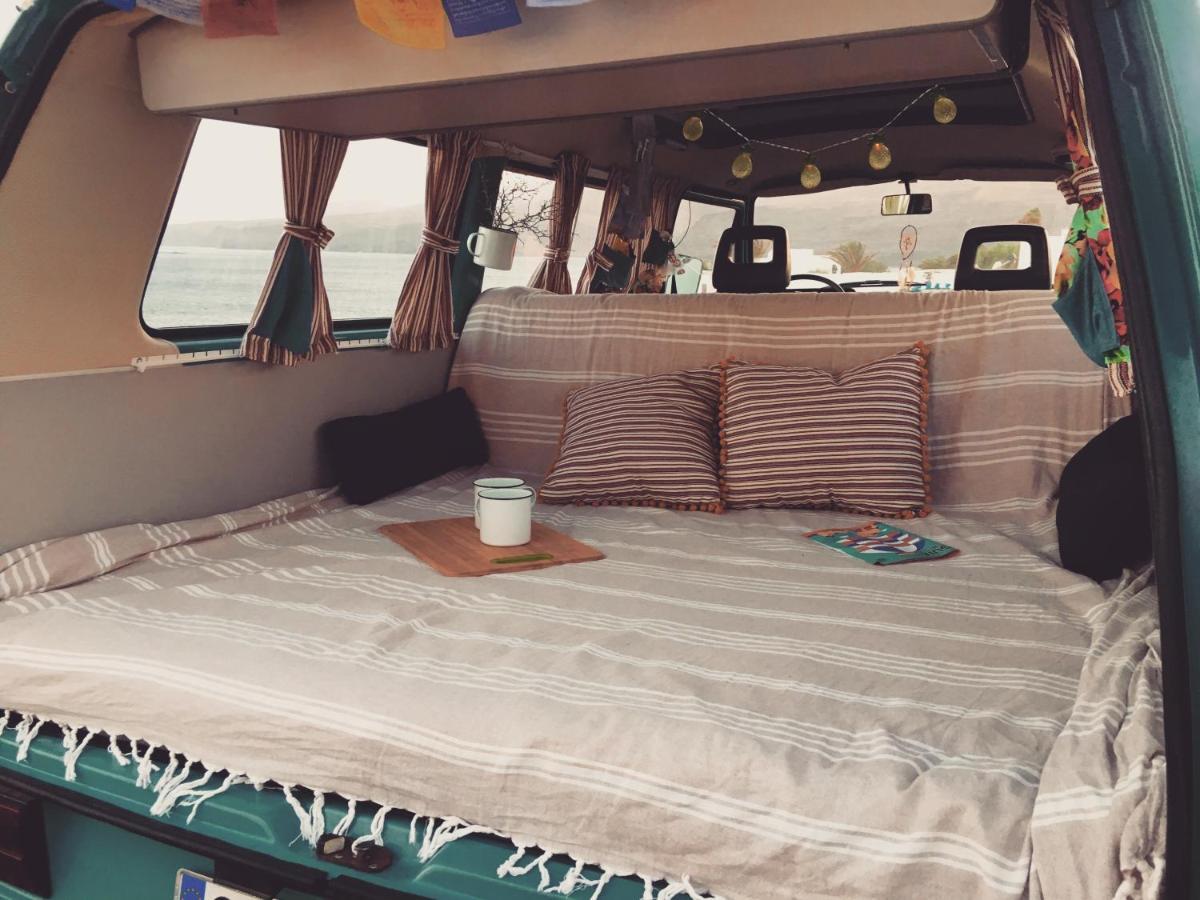 Turtles Van