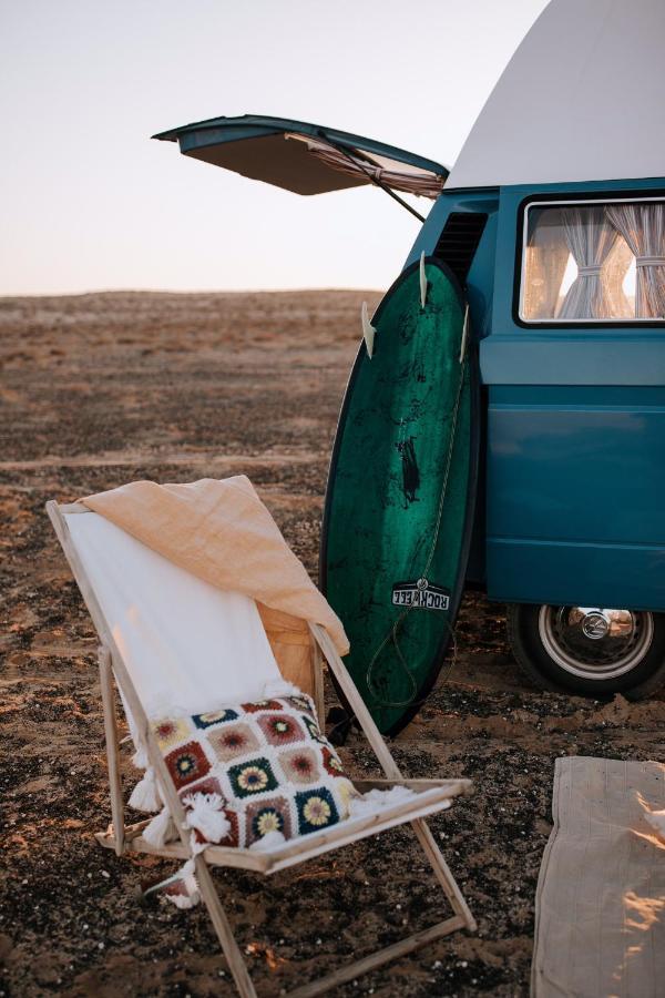 Camping Turtles Van *
