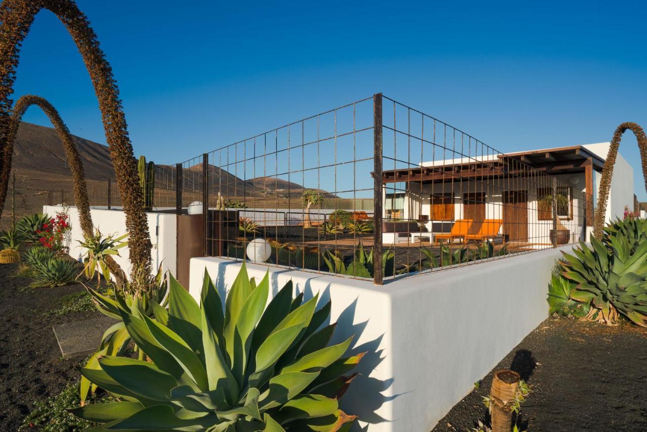 Agave // Cardón Villa *