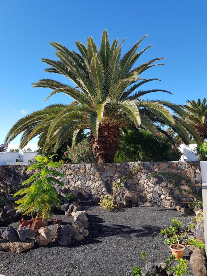 Justina 1 * Playa Blanca (Lanzarote)