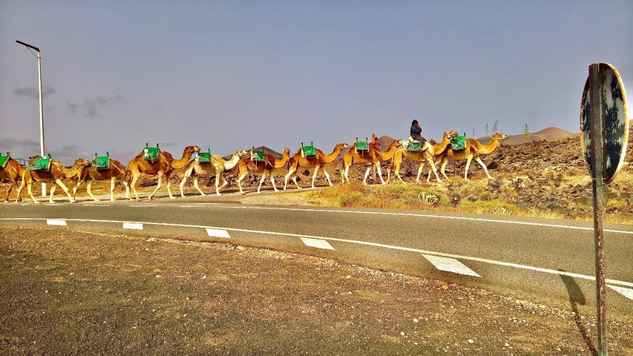 Tía Ela * Yaiza (Lanzarote)