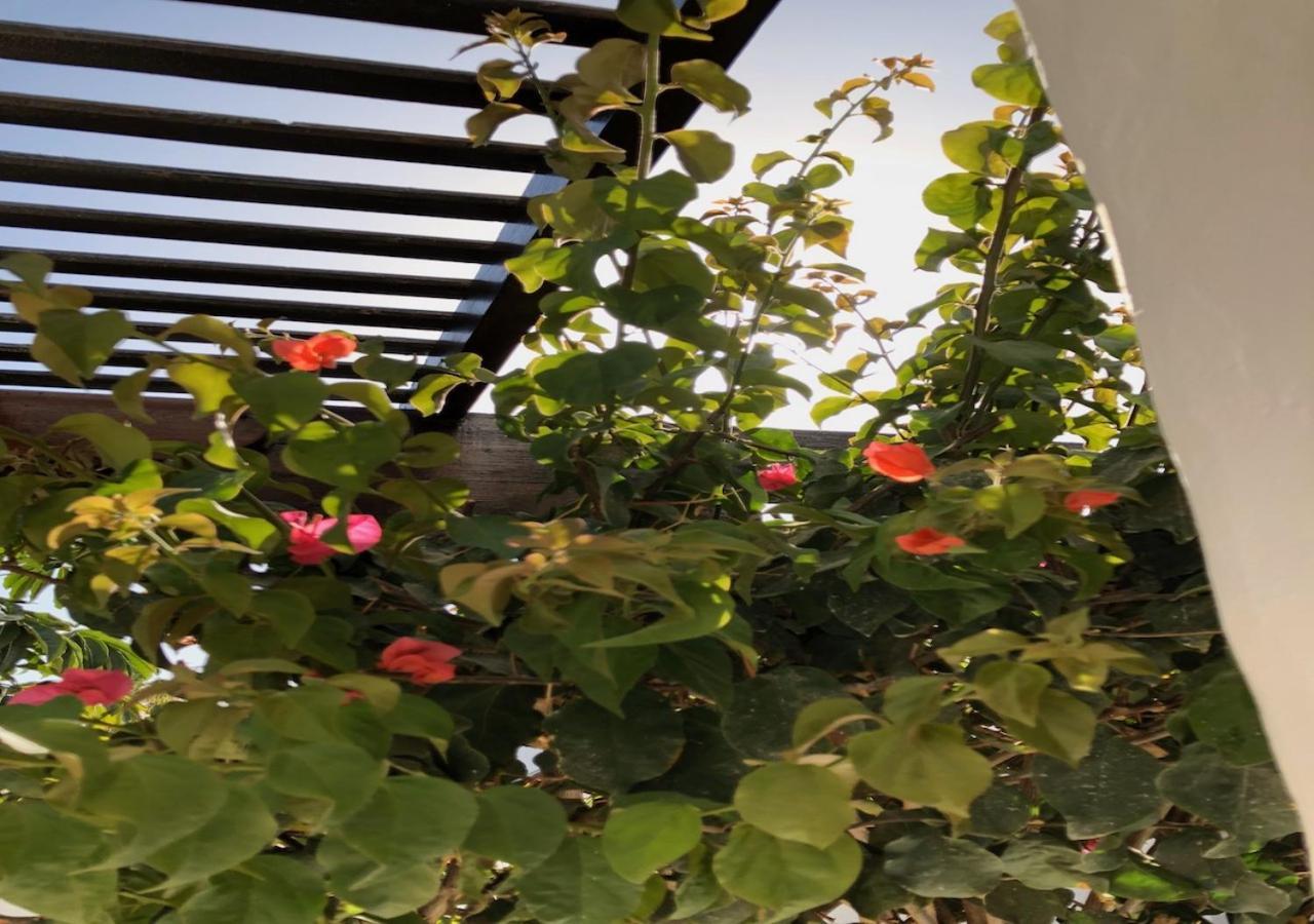 Mare Bella Chao Sea View Private Heated Solar Pool Ac