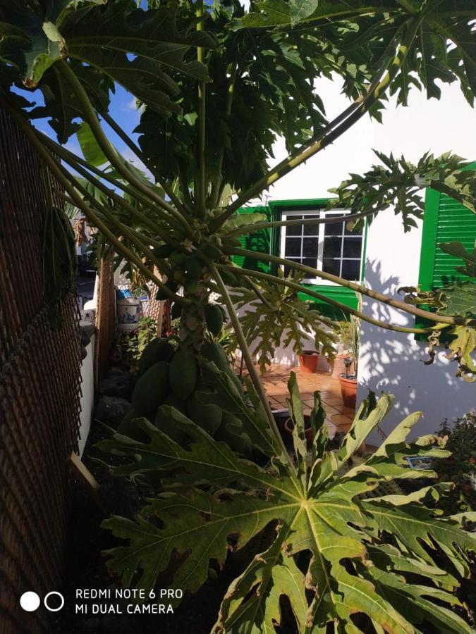 Caracola Azul Apartamento Arrieta (Lanzarote)