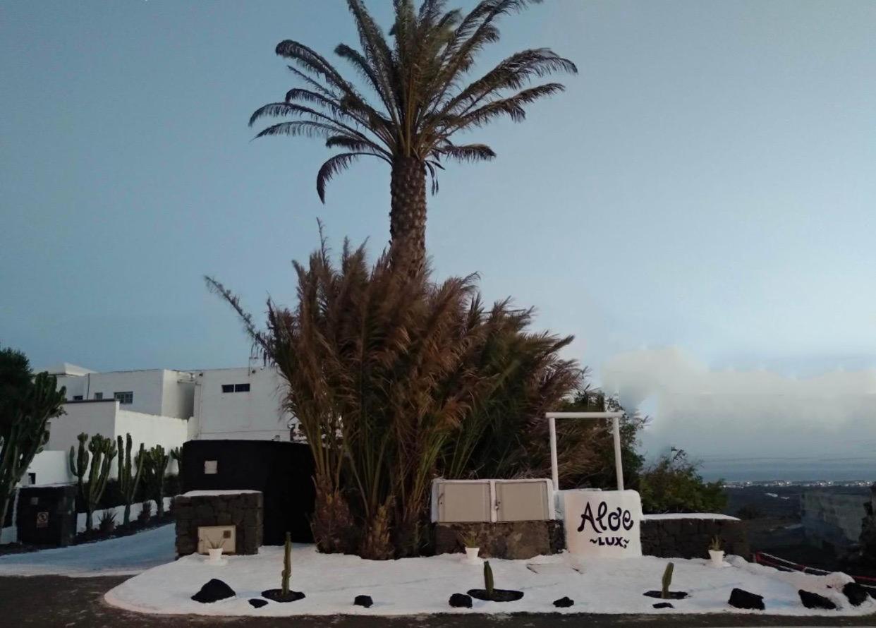 Aloelux ! - Private With Jacuzzi, Cinema ,massage ,wonderful View, Art Desing * Conil