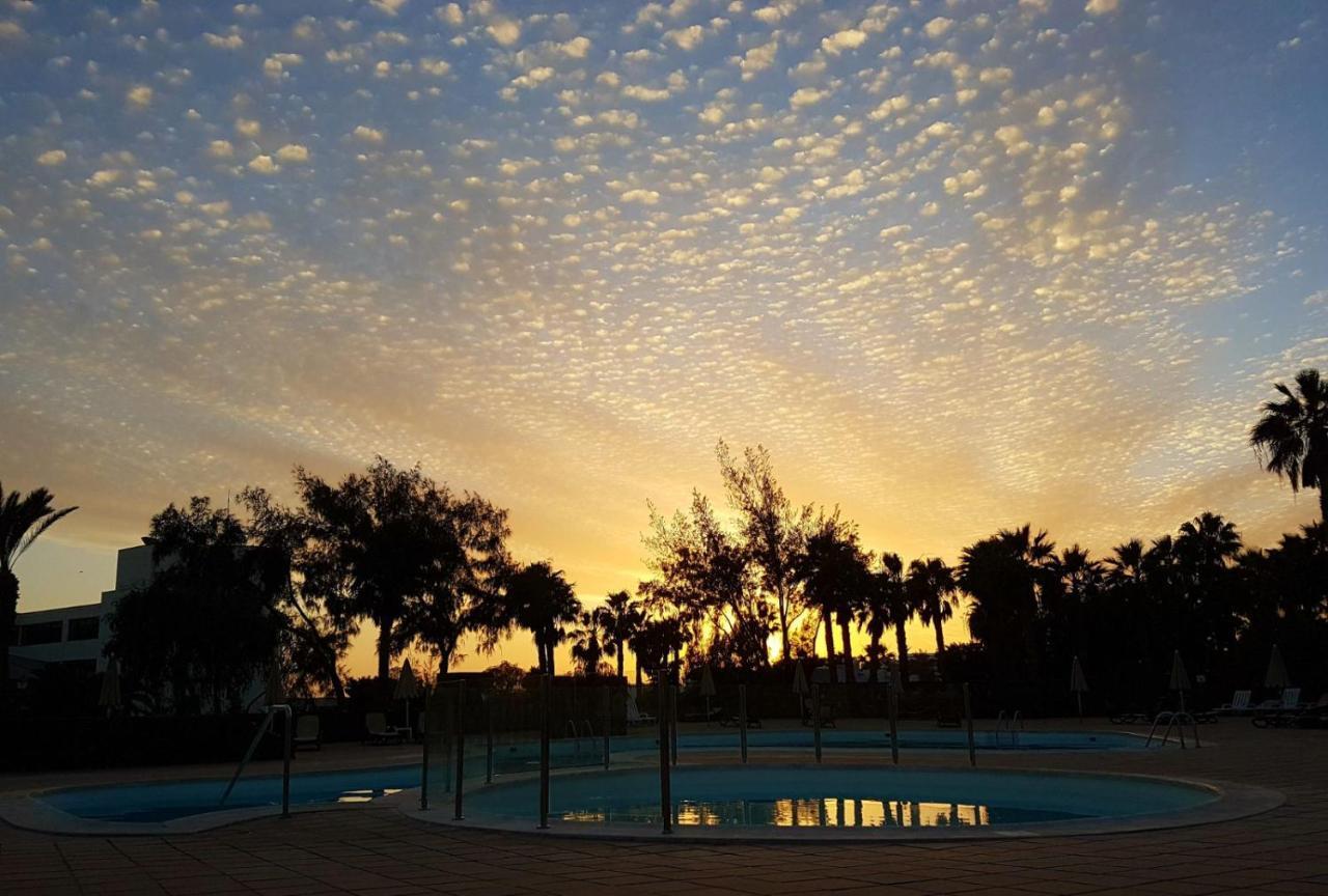 Palmeras Garden Playa Blanca (Lanzarote)