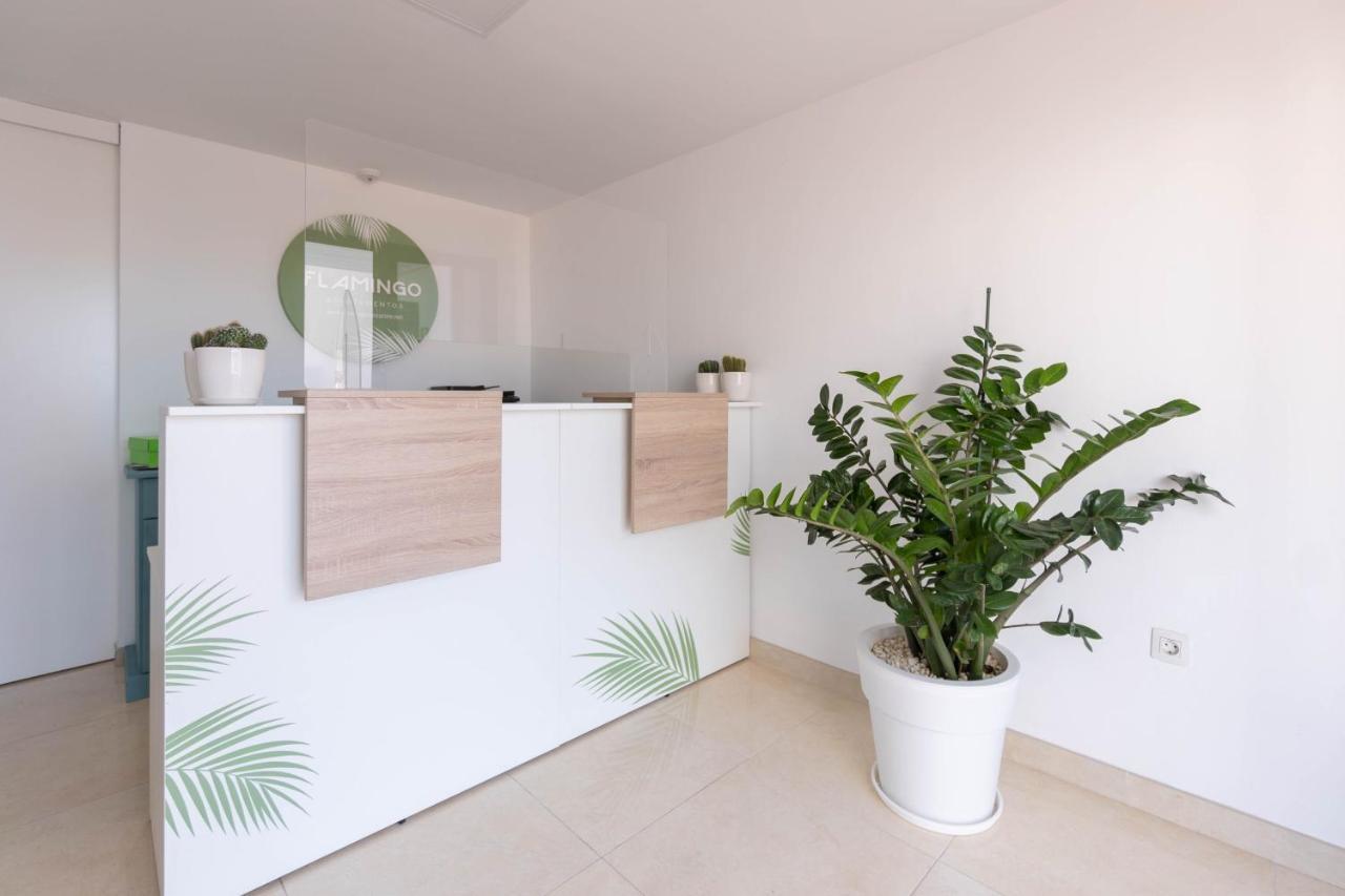 Apartamento Flamingo *