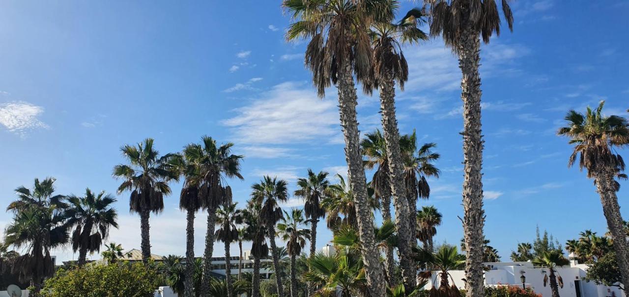 Palmeras Garden Playa Blanca (Lanzarote)