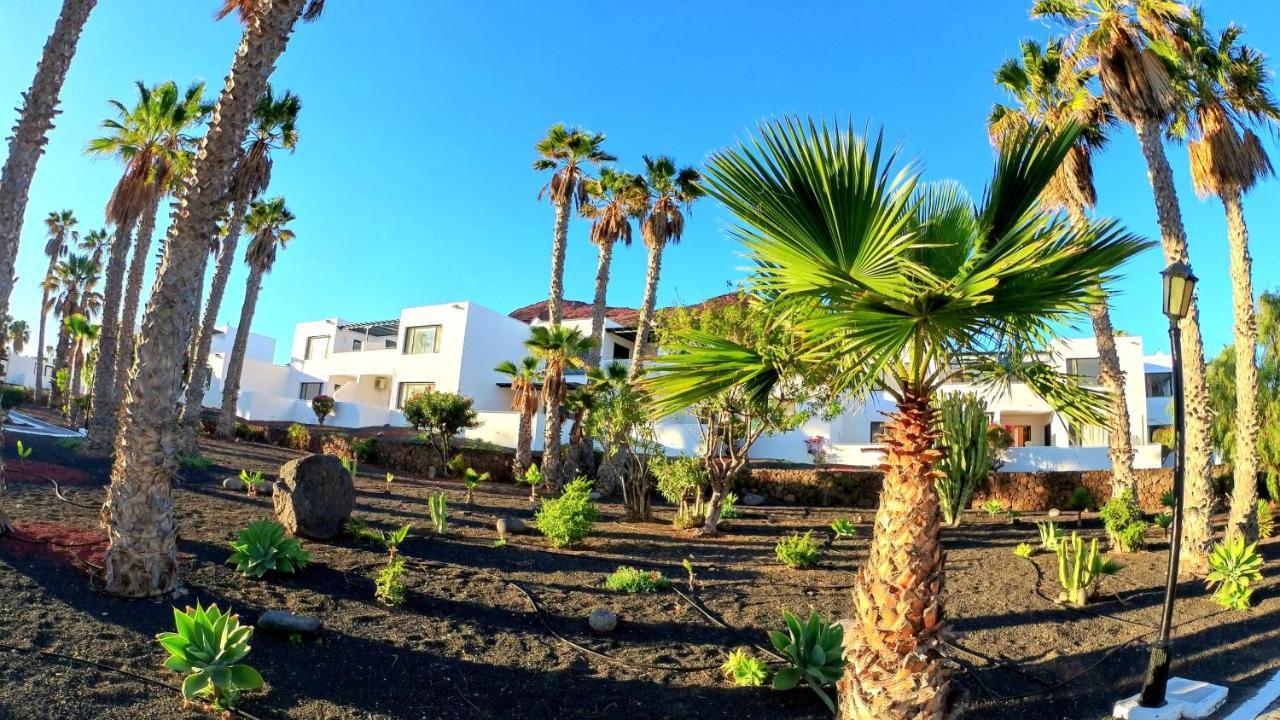 Palmeras Garden Apartment