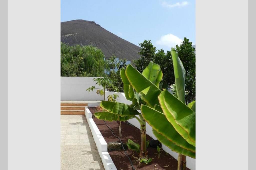 Isabel, Wifi, Piscina Privada Y Climatizada *