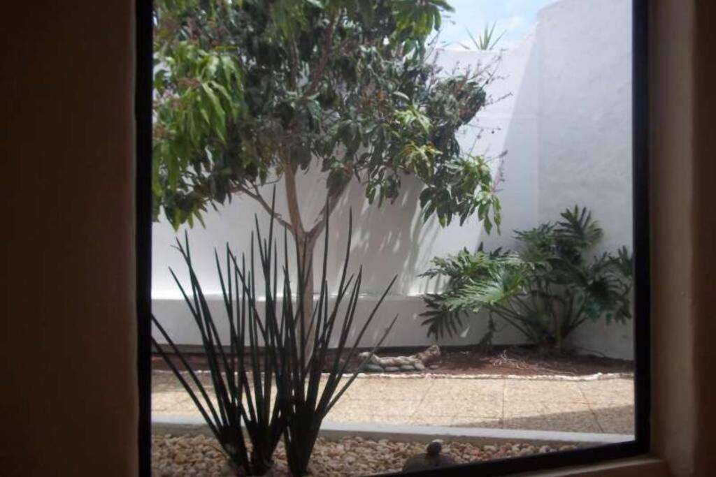 Isabel, Wifi, Piscina Privada Y Climatizada Villa Tahiche