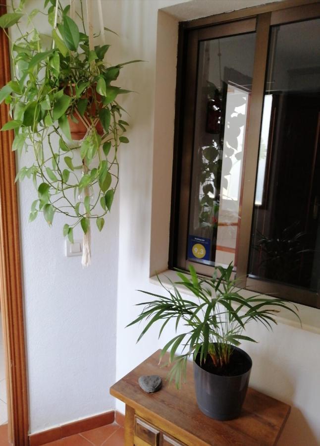 Casa Amaia Сasa de vacaciones Arrecife (Lanzarote)