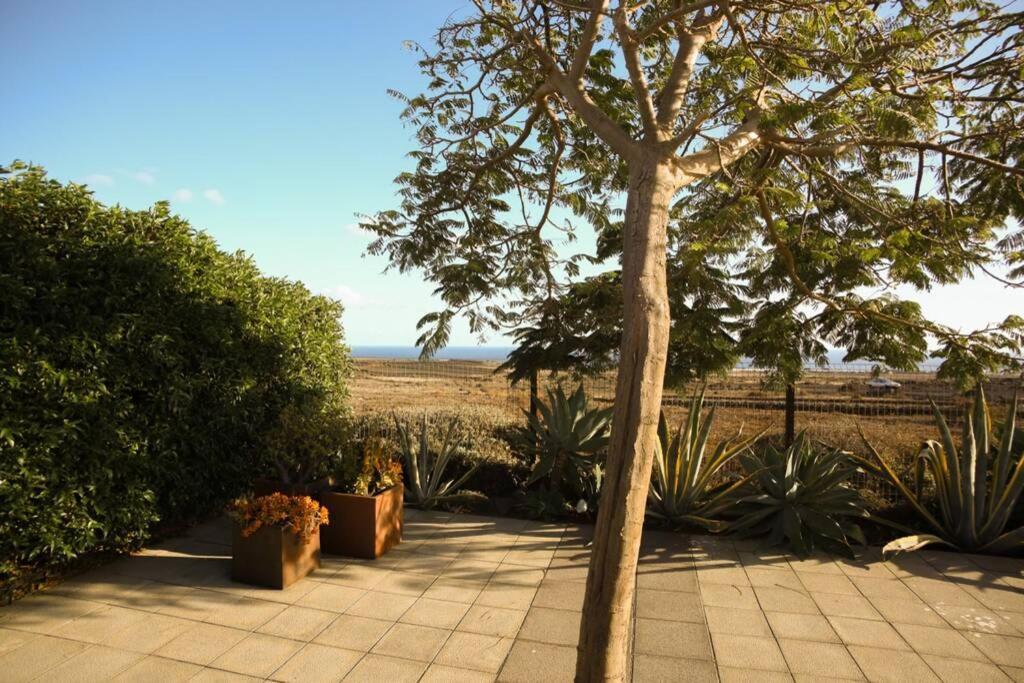 The Sea View