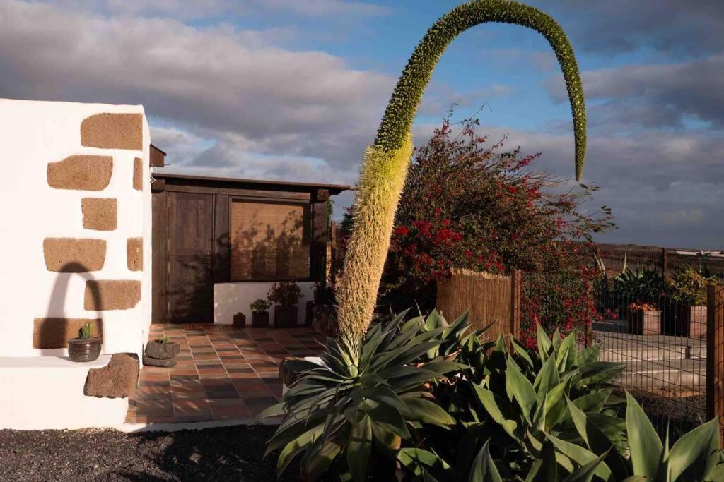 The Sea View Holiday home *