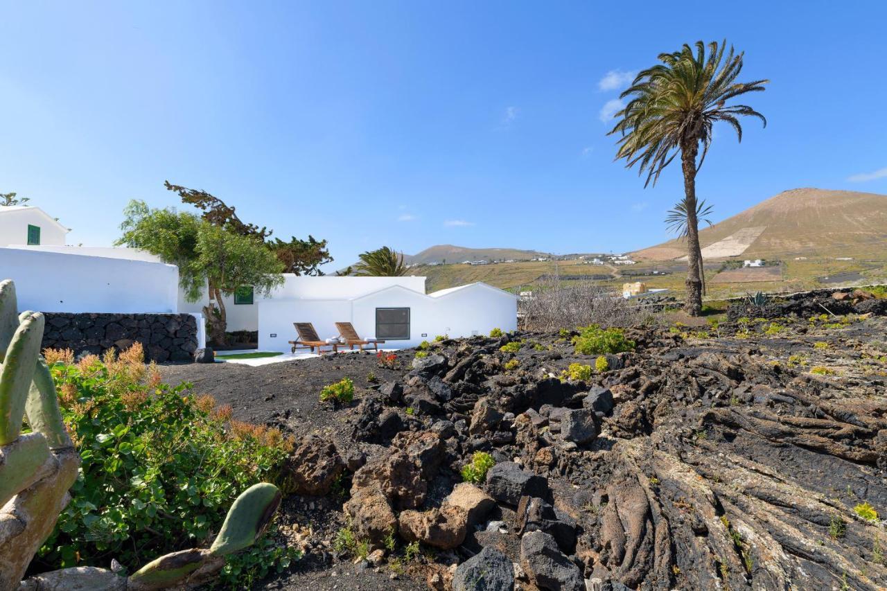 Estudio Tegoyo Macher