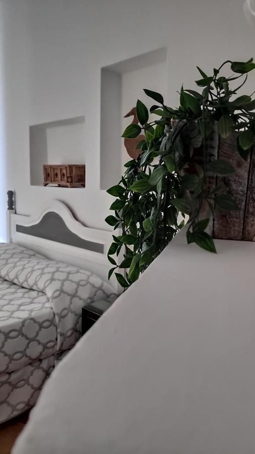 Apartamento Apto. Con Piscina El Flamboyán 1