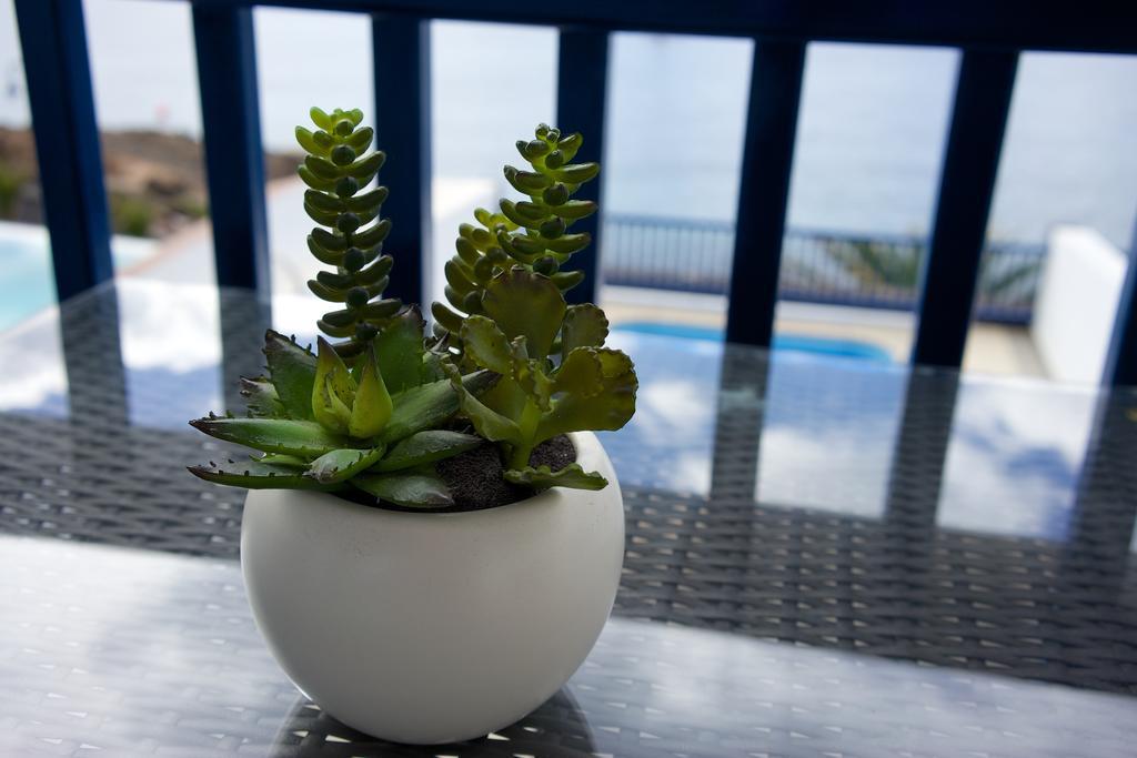 The Lookout Puerto Calero